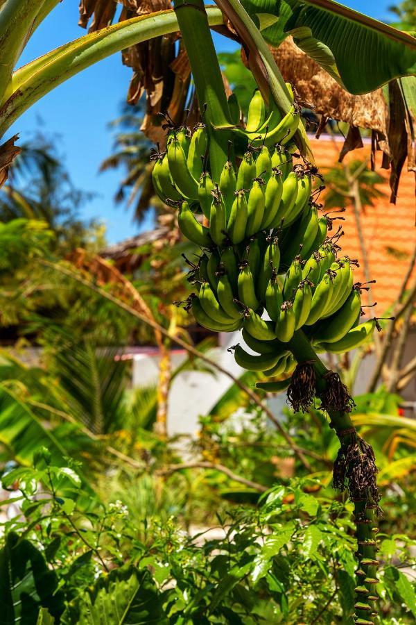 Heart Of Zanzibar Bungalows Падже Экстерьер фото